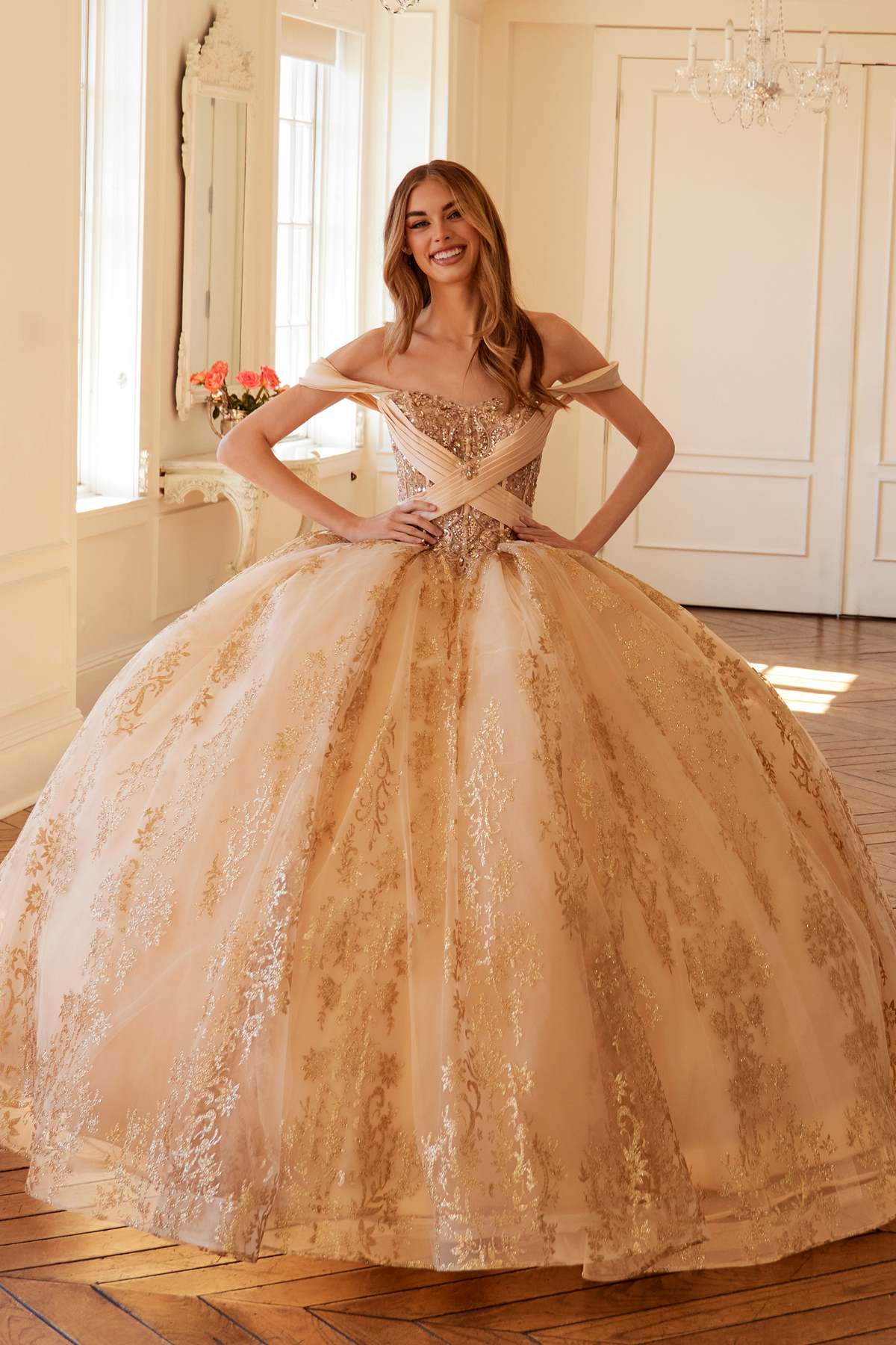 Juliet JT1488H Royal Princess A-Line Ball Gown Quinceanera