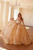 Juliet JT1488H Royal Princess A-Line Ball Gown Quinceanera
