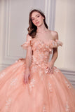 Ladivine 15731 Off the Shoulder Quinceanera A-Line Ball Gown