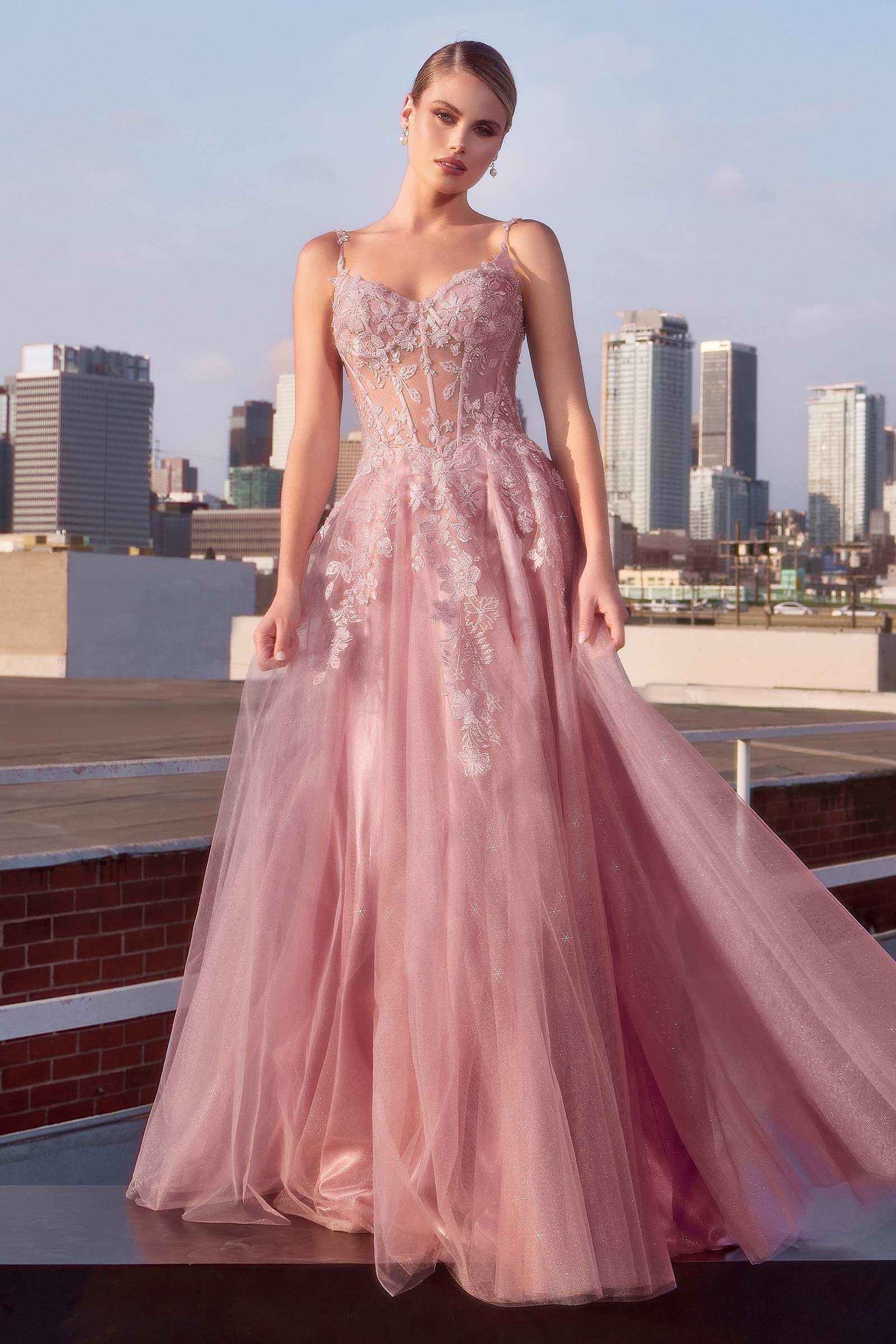 Ladivine CDS533 Dress Mauve A-Line Layered Tulle Prom Gown
