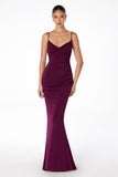 Astee T2008 Fitted Spaghetti Strap Open Back with Lace Detail Gown
