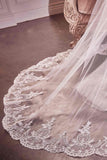 Ladivine V004 - Embroidery Hem Lace Chapel Veil