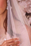 Ladivine V009 Wedding Veil - Sparkle Cathedral Veil