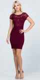 Short Pencil Dress Burgundy Short Sleeve Lace Top Form Fit