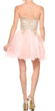 Blush Appliqued Homecoming Short Dress