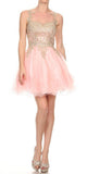 Blush Appliqued Homecoming Short Dress
