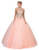 Cut-Out Back Embroidered Quinceanera Dress Blush