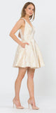 V-Neck and Back Champagne Homecoming Short Dress
