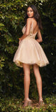 Cinderella Divine CD0189