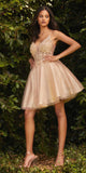 Cinderella Divine CD0189