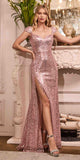 Cinderella Divine CH171 Dress