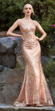 Cinderella Divine CH235 Dress
