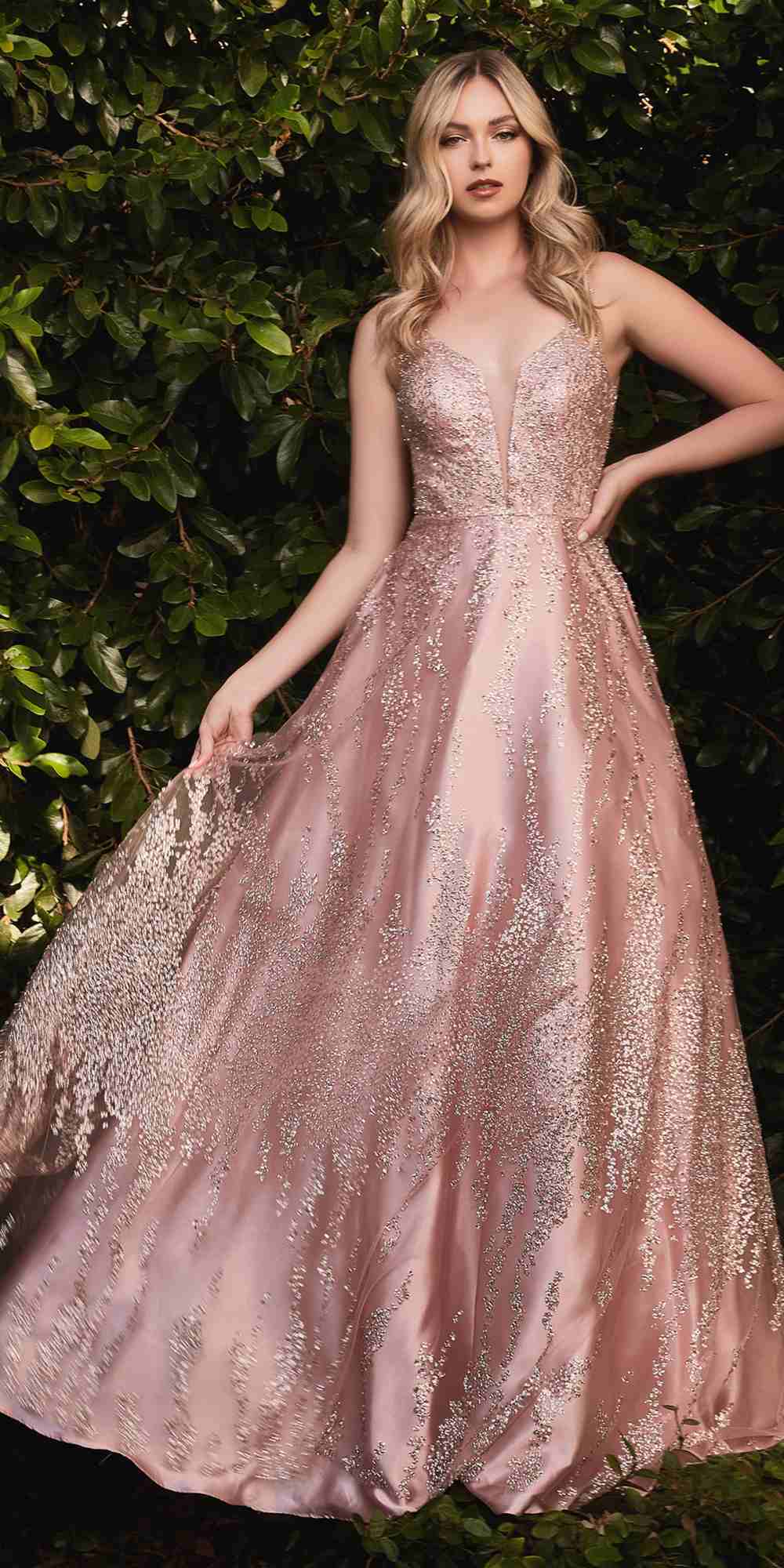 Cinderella Divine J819