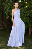 Ladivine CD415 One Shoulder Pleated Luminescent Chiffon Flowy Gown