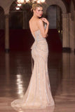 Ladivine CD715 Strapless Red Carpet Glamour Evening Gown