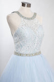Aspeed L2005 Lace Bodice Halter Ball Gown Lace-up Back