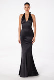 Astee T2001 Fitted Long V-Neckline Halter Top Evening Gown