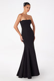 Astee T2010 Fitted Strapless Mermaid Gown