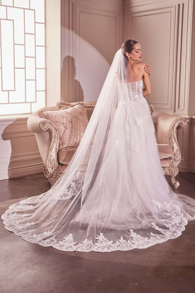 Ladivine V004 - Embroidery Hem Lace Chapel Veil
