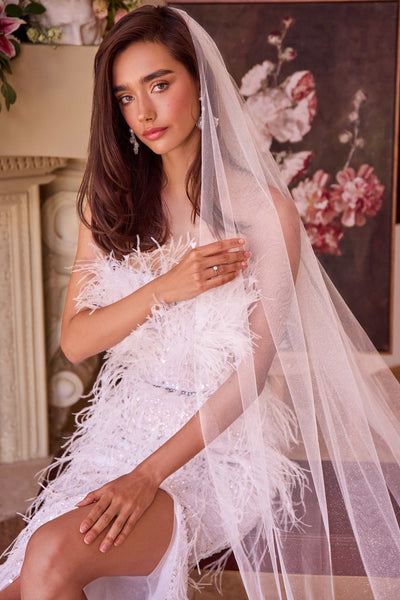 Ladivine V009 Wedding Veil - Sparkle Cathedral Veil