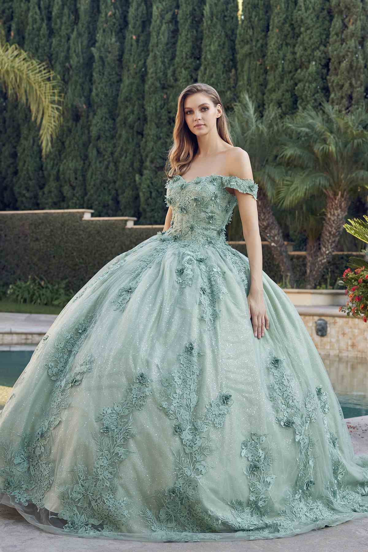 Juliet 1445 Long 3d Floral Appliques Off Shoulder Poofy Ball Gown