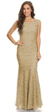 Sleeveless Lace Sequins Fit and Flare Evening Gown Gold Floor Length