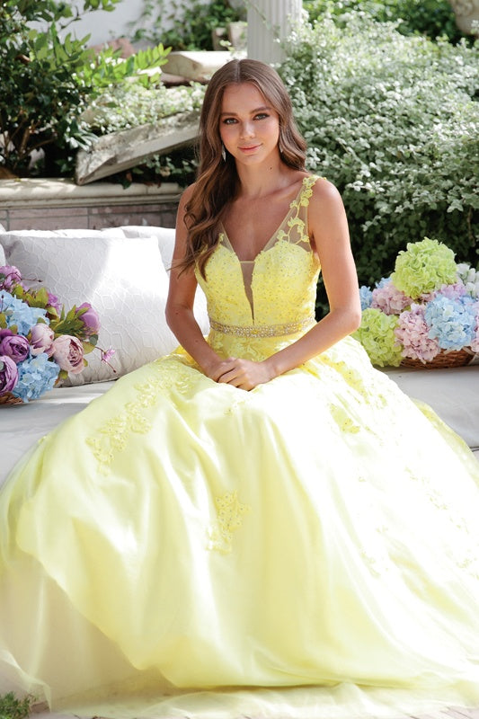 V Neck Open Back Yellow Lace Tulle Long Prom Dresses, Yellow Lace Form –  Shiny Party
