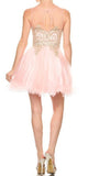 Blush Appliqued Homecoming Short Dress 