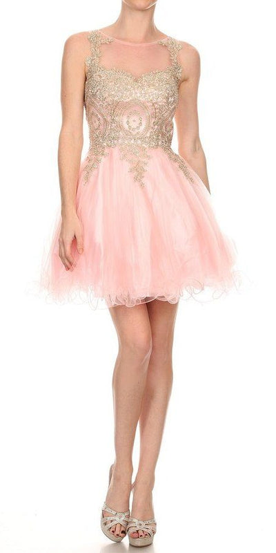 Blush Appliqued Homecoming Short Dress 