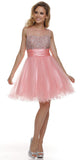 Ruched Empire Waist Illusion Neck Puffy Blush Prom Dress
