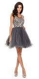 Poofy A Line Charcoal Short Homecoming Dress Tulle Embroidery