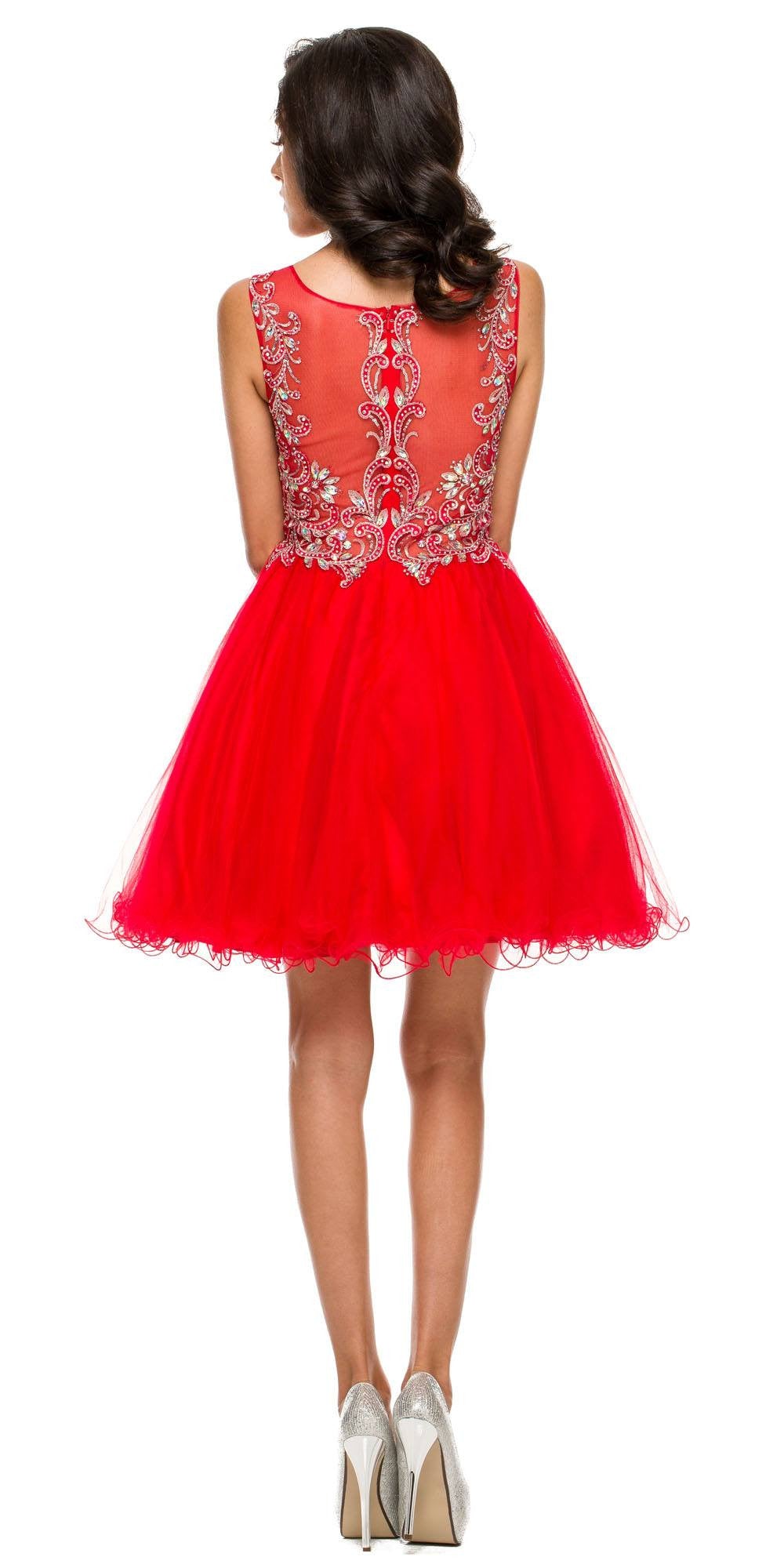Poofy A Line Red Short Homecoming Dress Tulle Embroidery Back
