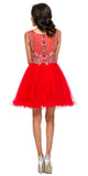 Poofy A Line Red Short Homecoming Dress Tulle Embroidery Back