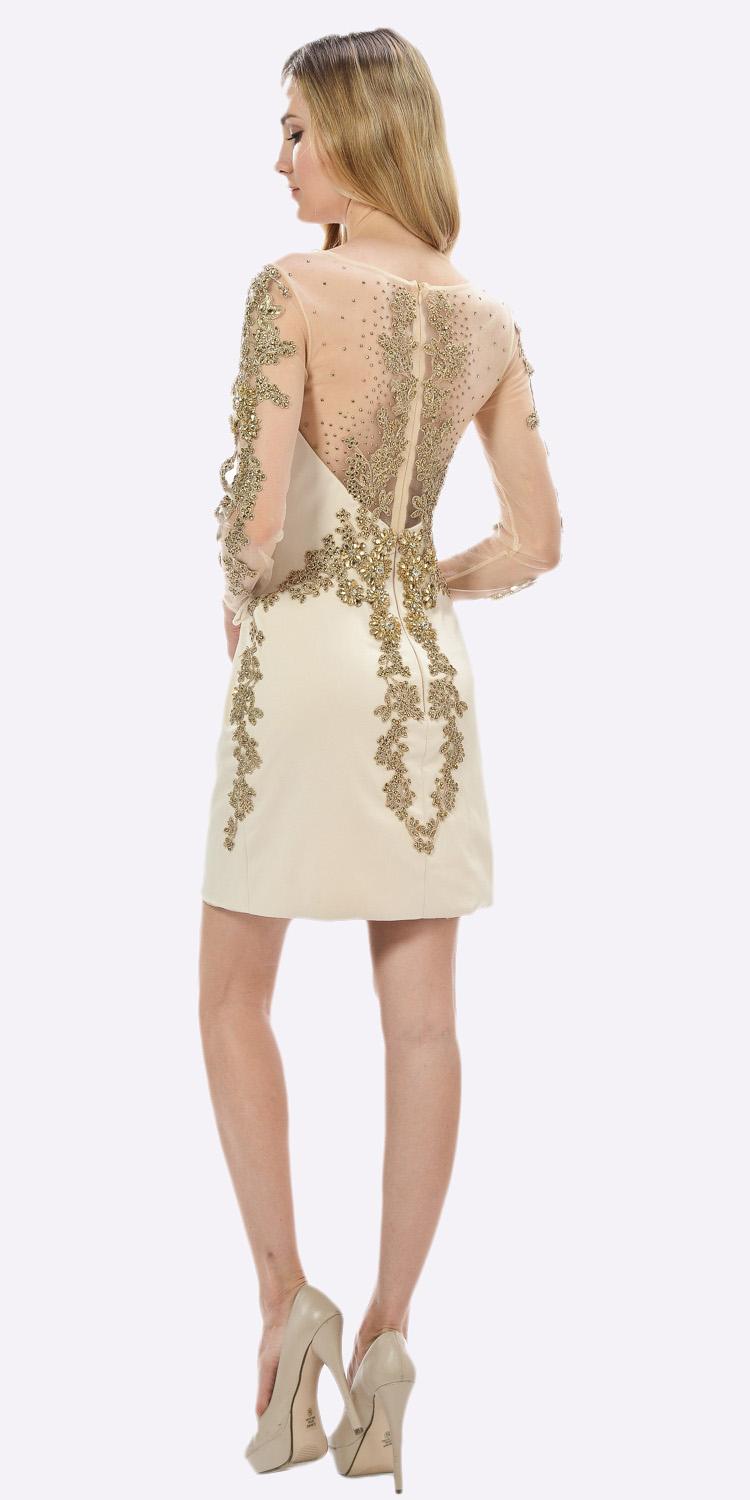 Champagne Sheer Embellished Sleeves Short Illusion Party Dress Back View