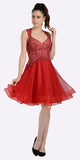 Embroidered Top Knee Length Homecoming Dress Burgundy