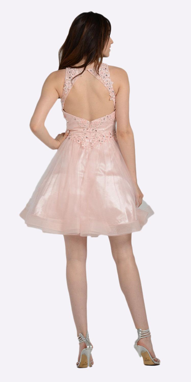 Blush Lace Applique Bodice Short Prom Dress Sleeveless Cut Out Back