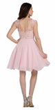 Illusion V-Neck Appliqued Bodice Homecoming Short Dress Blush