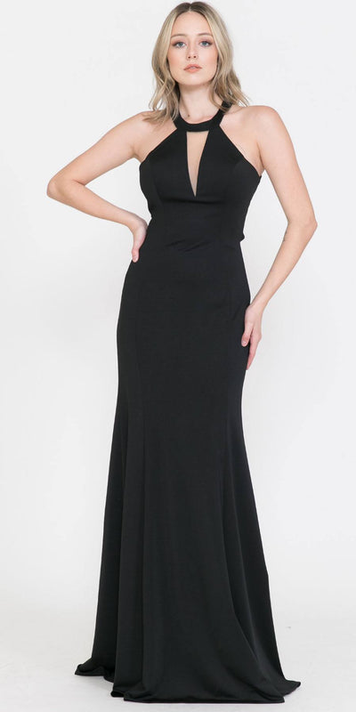 Poly USA | Ed Young 8296 Halter Long Formal Gown Cut-Out Back
