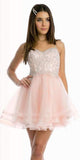 Juliet 849 Short Tiered Tulle Homecoming Blush Dress Embroidered Bodice