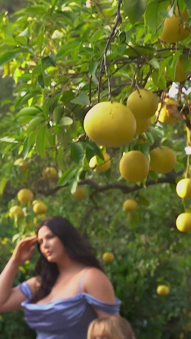 Ladivine 7492 Dress - video