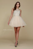 Short Champagne Homecoming Dress Poofy A Line Tulle Skirt Halter Neck