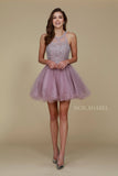 Short Mauve Homecoming Dress Poofy A Line Tulle Skirt Halter Neck