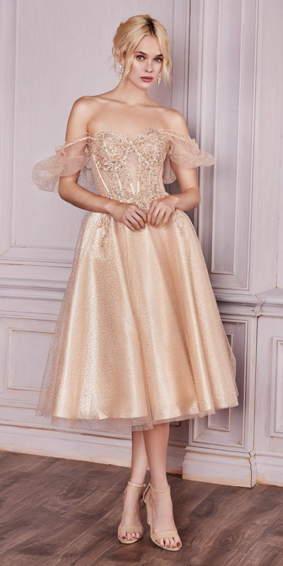 Ladivine CD0187 Dress