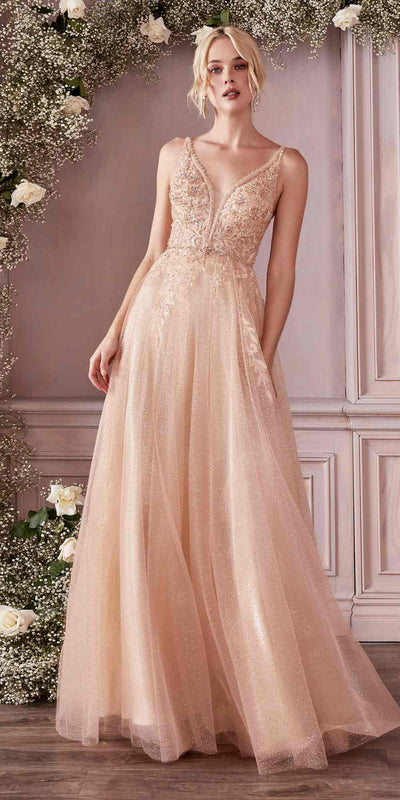 Cinderella Divine CD0196 Dress
