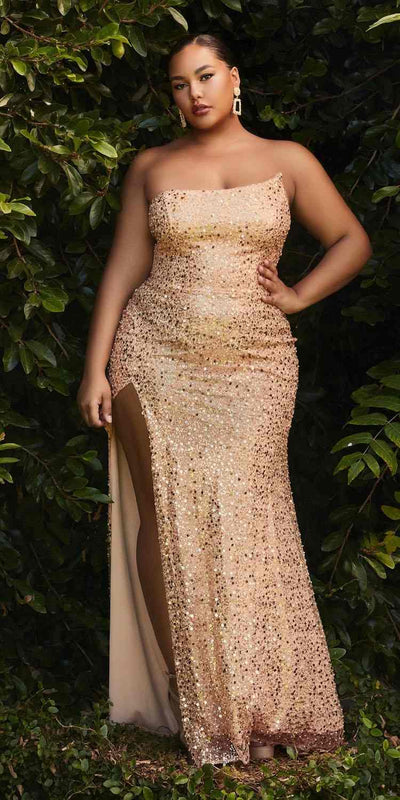 Cinderella Divine CH165C Dress