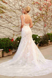 Nox Anabel H493 Classical V-Neckline Lace Mermaid White/Nude Gown