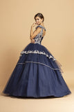 Navy Blue Long Quinceanera Dress Cut-Out Back with Appliques