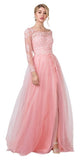Appliqued Pink Long Prom Dress with Deep V-Back