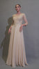 Juliet M12 Quarter Sleeved Embroidered Long A-Line Chiffon Dress