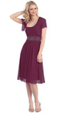Ruched Bodice Single Strapped Plum A Line Cocktail Dress
